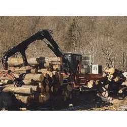 MDB Logging Inc.