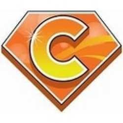 Champions Carpet Cleaning & More