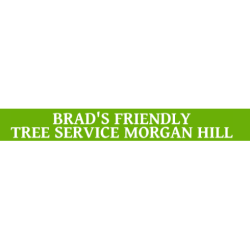 Brad's Friendly Tree Service Morgan Hill