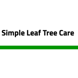 Simple Leaf Tree Care