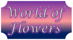 World of Flowers & Gift