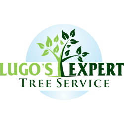 Lugo's Expert Tree Services