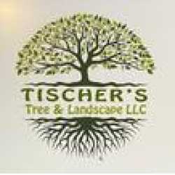 Tischer's Tree & Landscape