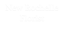 New Rochelle Florist