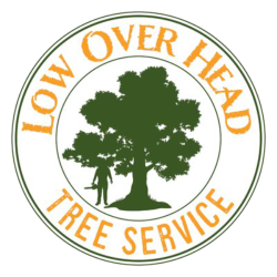 Low Over Head Tree Service