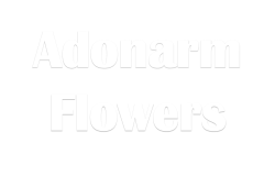 Adonarm Flowers