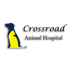 Crossroad Animal Hospital