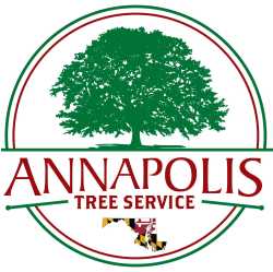 Annapolis Tree Service & Tree Removal Pros