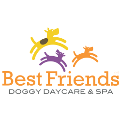 Best Friends Doggy Daycare - CLOSED