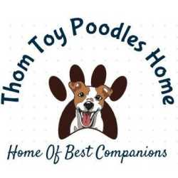 Thom Toy Poodles Home