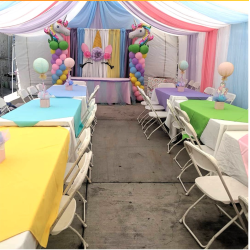 BR Party Rental