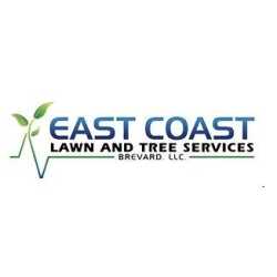 EAST COAST TREE PROFESSIONALS- ISA Certified Arborist - Tree Service Melbourne FL, Palm Bay FL, Merritt Island FL