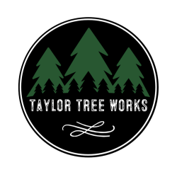 Taylor Tree Works