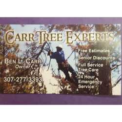 Carr Tree Experts