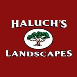 Haluchâ€™s Landscapes of Florida