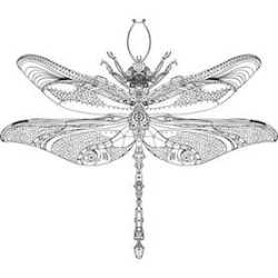 Silver Dragonfly Design Studio