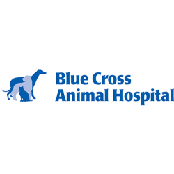 Blue Cross Animal Hospital
