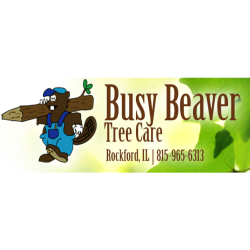 Busy Beaver Tree Care & Lawn