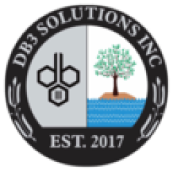 DB3 SOLUTIONS INC