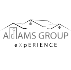 The Adams Group Experience