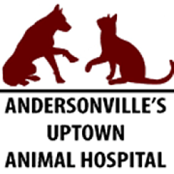 Uptown Animal Hospital