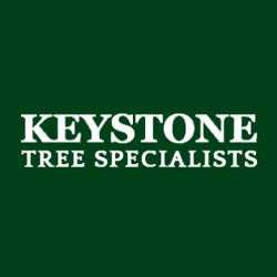 Keystone Tree Specialists