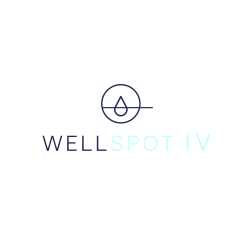 WellSpot IV