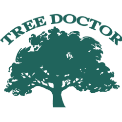 Tree Doctor Tree Services