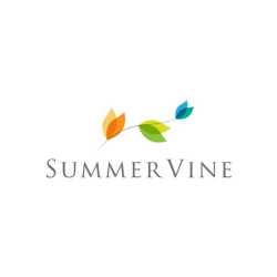 Summer Vine
