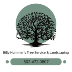 Billy Hummer's Tree Service & Stump Grinding