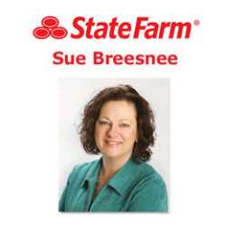 Sue Breesnee - State Farm Insurance Agent