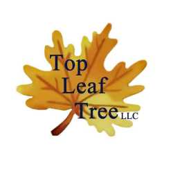 Top Leaf Tree LLC