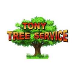 Tony Tree Service