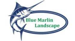 Blue Marlin Landscape