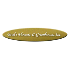 Briel's Flowers & Greenhouse