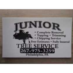 Junior Tree Service