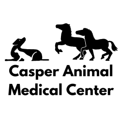 Casper Animal Medical Center