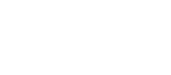 Patti's Petals