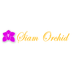 Siam Orchid Thai Cuisine