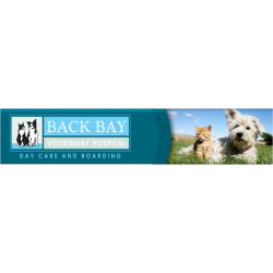 Back Bay Veterinary Hospital