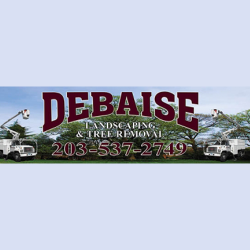 Debaise Landscaping & Tree Removal