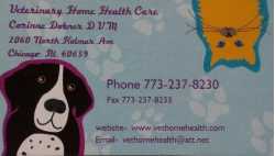 Veterinary Home Health Care