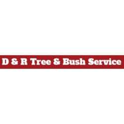 D and R Tree and Bush Service Springfield