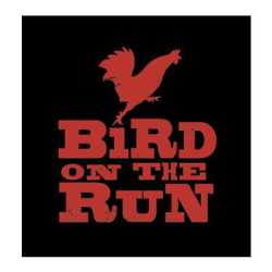 Bird On The Run