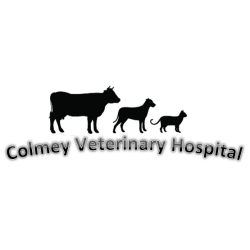 Colmey Veterinary Hospital