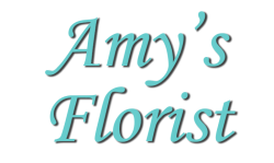 Amy's Florist