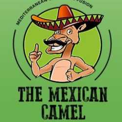 The Mexican Camel