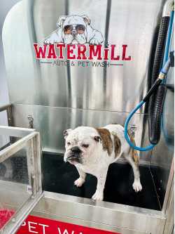Watermill Auto & Pet Wash