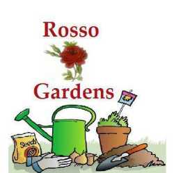 Rosso Gardens