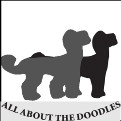 All About The Doodles
